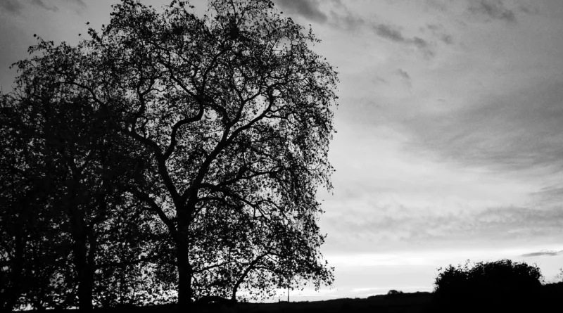 Photos365 : Un an de photos quotidiennes par Yoan Bernabeu