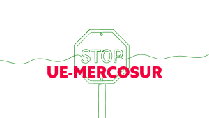 Accord de libre-échange entre l'UE et le Mercosur : enjeux et perspectives