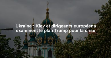 Ukraine : Kiev et dirigeants européens examinent le plan Trump pour la crise