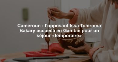 Cameroun : l’opposant Issa Tchiroma Bakary accueilli en Gambie pour un séjour «temporaire»