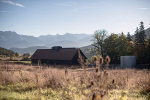 En Isère, découvrez un whisky de terroir présenté sur un plateau