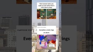 22. Votre regard sur l'apogée de la culture Internet