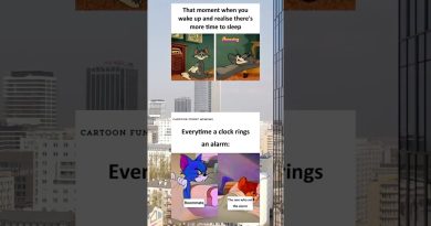 22. Votre regard sur l'apogée de la culture Internet