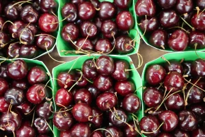 Néonicotinoïdes : l'Inrae constate des alternatives partielles et non opérationnelles