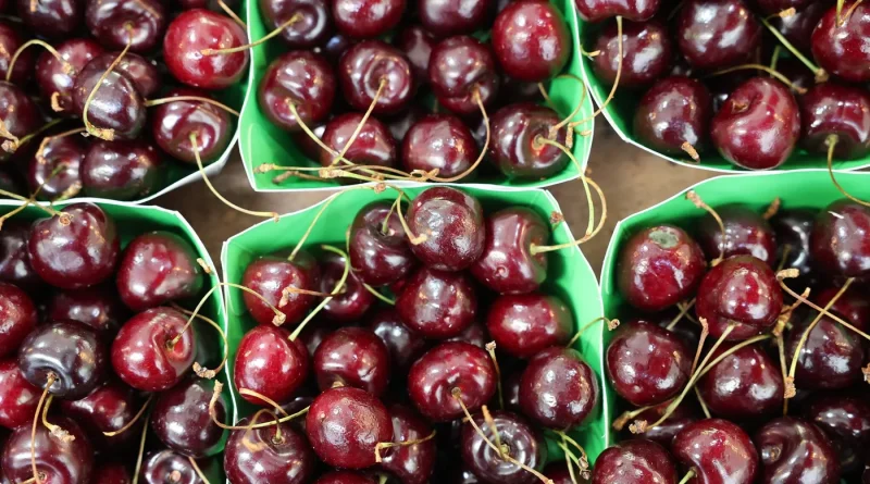 Néonicotinoïdes : l'Inrae constate des alternatives partielles et non opérationnelles