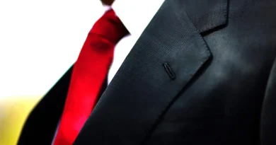 « Fractures dans l’Occident » de Nicole Gnesotto : l'Europe face à Trump et ses conséquences