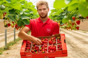 Normes pour la planète : les entreprises françaises s'engagent pour la durabilité
