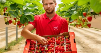 Normes pour la planète : les entreprises françaises s'engagent pour la durabilité
