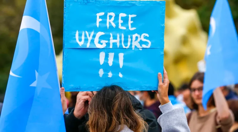 Une université britannique suspend ses recherches sur les Ouïghours sous pression de Pékin