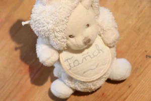 Prénom Fañch : la cour d’appel de Rennes autorise le tilde pour un enfant breton