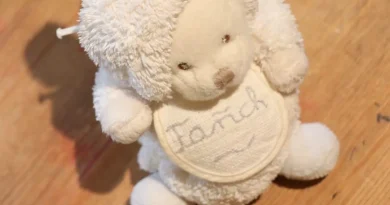 Prénom Fañch : la cour d’appel de Rennes autorise le tilde pour un enfant breton