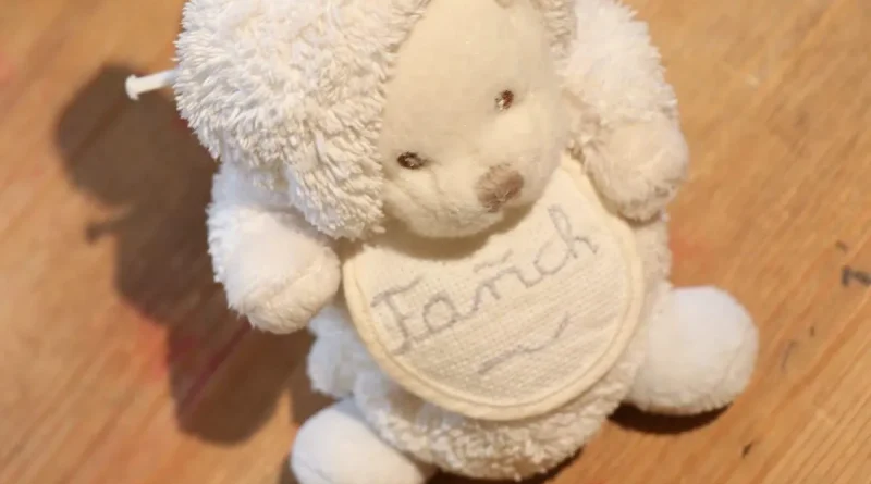 Prénom Fañch : la cour d’appel de Rennes autorise le tilde pour un enfant breton