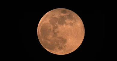 « Super lune du Castor : décryptage d'un phénomène astronomique courant »