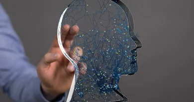 Neurotechnologies : l'Unesco met en place des garde-fous contre l'intrusion cérébrale