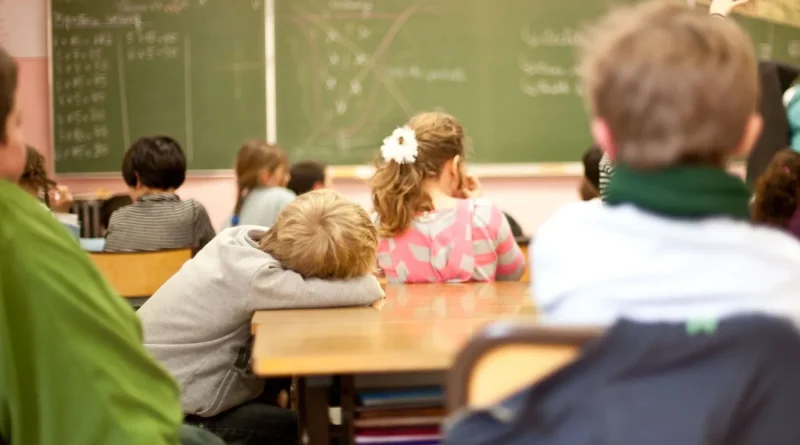 Éducation : baisse des décrocheurs scolaires, mais sentiment d’échec accru chez les élèves