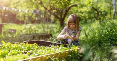 Le jardin naturel : un espace idéal pour initier les enfants à la biodiversité