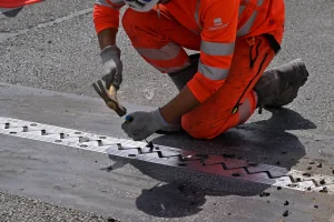 Protection de l'environnement : les conséquences mortelles d'un recul