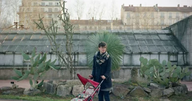 Chute des naissances : impact sur la croissance française et les jouets en particulier