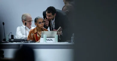 COP30 au Brésil : Marina Silva, ministre clé des négociations environnementales