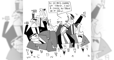 Assemblée nationale : Attention à la motion de Sancerre en cours de débat