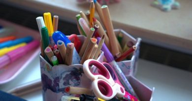 La Grande Lessive - Ecole Mermoz Tours