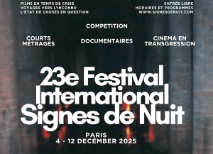 23e Festival International Signes de Nuit - Citescope