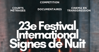 23e Festival International Signes de Nuit - Citescope