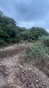 24 réactions sur Christophe Charlier - CC#23 pour 2026 🎯