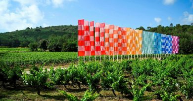 Œnotourisme : Découverte des vins à travers l'art et la culture viticole