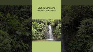 3 Cascades en Martinique : Choisissez votre Aventure ! 🌊