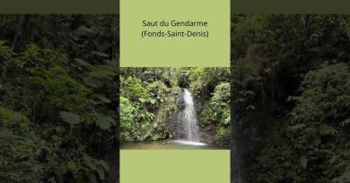 3 Cascades en Martinique : Choisissez votre Aventure ! 🌊