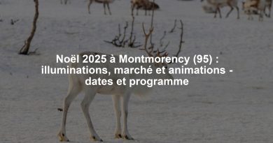 Noël 2025 à Montmorency (95) : illuminations, marché et animations - dates et programme