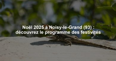 Noël 2025 à Noisy-le-Grand (93) : découvrez le programme des festivités