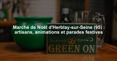 Marché de Noël d'Herblay-sur-Seine (95) : artisans, animations et parades festives