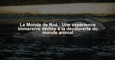 Le Monde de Noé : Une expérience immersive dédiée à la découverte du monde animal