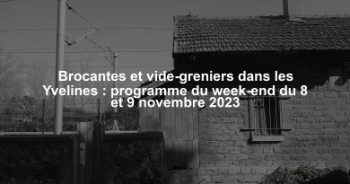 Brocantes et vide-greniers dans les Yvelines : programme du week-end du 8 et 9 novembre 2023