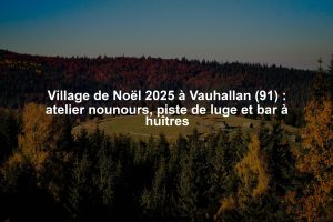 Village de Noël 2025 à Vauhallan (91) : atelier nounours, piste de luge et bar à huîtres
