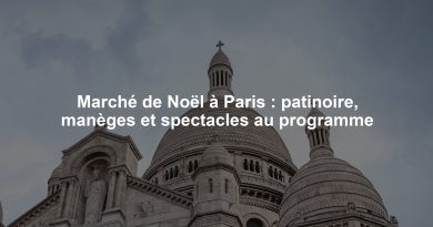 Marché de Noël à Paris : patinoire, manèges et spectacles au programme