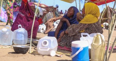 Massacres au Soudan : analyse des raisons de l'inaction internationale