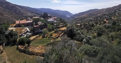 Crète : une fusillade éclate suite à un conflit entre membres d'une même famille