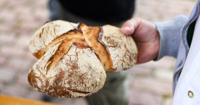 Le « rustique des lys » : pain au blé ancien et circuit court à Saint-Louis Agglomération