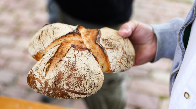 Le « rustique des lys » : pain au blé ancien et circuit court à Saint-Louis Agglomération