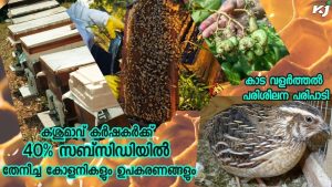 40% de subvention pour apiculteurs et équipements agricoles