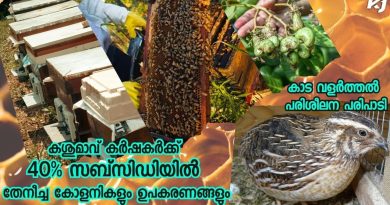 40% de subvention pour apiculteurs et équipements agricoles