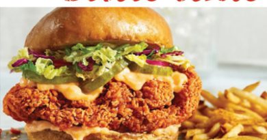 Voyager-aux-Etats-Unis.com Le Podcast