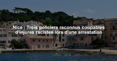 Nice : Trois policiers reconnus coupables d'injures racistes lors d'une arrestation