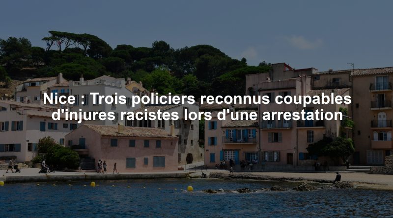 Nice : Trois policiers reconnus coupables d'injures racistes lors d'une arrestation
