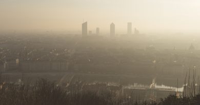 Particules fines : l'exposition prénatale liée à un risque accru de leucémie aiguë