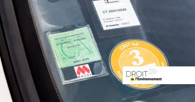 Vignette Crit'Air : le Conseil d'État confirme l'arrêté régissant le dispositif