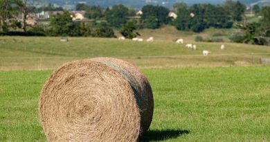 Simplification de la PAC : accord atteint entre le Parlement et le Conseil européen